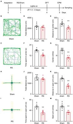 Restraint stress induced anxiety and sleep in mice